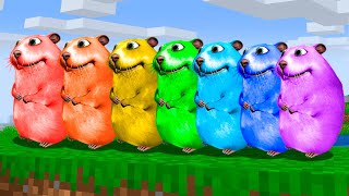 ACHAMOS TODOS OS HAMSTERS COLORIDOS de ARCOIRIS FIND CHOMIKS MINECRAFT [upl. by Silvio]