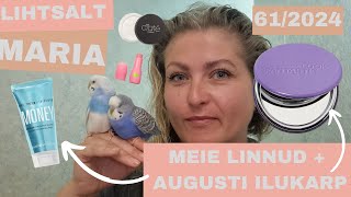 VLOG 61  MEIE LINNUD  AUGUSTI ILUKARP  LIHTSALT MARIA [upl. by Alrats]