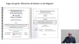 Cours Anglais Scientifique et Analyse darticle M2 I Présentation et revue bibliographique [upl. by Greerson]