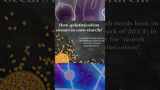 How gelatinization occurs in Starch foodlovers lutongbahay foodchemistry [upl. by Tema411]