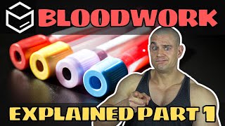 How Often amp Which BLOOD WORK MARKERS Should You Test For PART 1 feat Marek Health [upl. by Aifoz530]