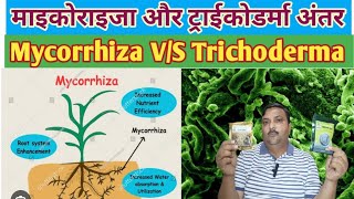 Mycorrhiza और Trichoderma में अंतर mycorrhiza trichoderma vam [upl. by Orofselet]