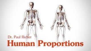 Learn how to draw easily Learn the human body proportions [upl. by Carl]