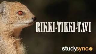 Rikki Tikki Tav Audio [upl. by Esyli]