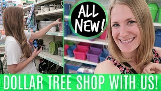 HUGE DOLLAR TREE SHOPPING VLOG 💚 Organization NEW Finds Tips amp More with LoveMeg💕 [upl. by Acirne]