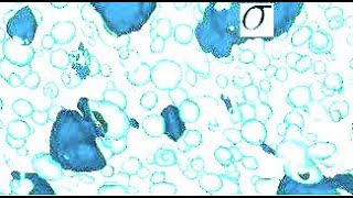 Sigmaphase in alloys of iron crystal and microstructure [upl. by Anihcak48]