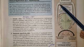 Deoxy Ribonucleotide Synthesis Chap 22 Part Biochemistry Lippincott [upl. by Pallaten220]