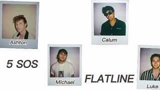 5SOS  Flatline Lyrics  Terjemahan Indonesia [upl. by Llirrehs]