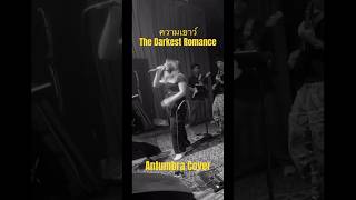 ความเยาว์  The Darkest Romance Antumbra Cover ความเยาว์ tdr antumbraband [upl. by Acey]