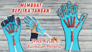 Cara Membuat Replika Tangan IPAS Kelas 6  Buat Alat Peraga Sendi Gerak Tangan Manusia Dari Kertas [upl. by Keyser]