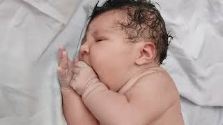 Cutest Newborn Baby after normal delivery Birth eating thumb chubby cute [upl. by Cohbert]