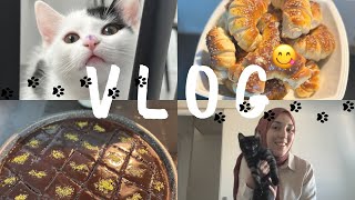 VLOG DİKKAT BU VİDEO BOL TARİF İÇERİR❗️İSLİM KEBABI 😋 BROWNİ TADINDA ISLAK KEK  YELPAZE POĞAÇA 🥯 [upl. by Joan]