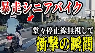 【ドラレコ】老害バイクじじいが堂々と信号無視した結果【交通安全推進、危機予知トレーニング】【スカッと】 [upl. by Tami]