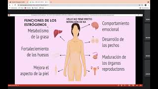 Fisiología y función de las hormonas sexuales femeninas [upl. by Ferrell456]