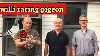 Racing Pigeon Spotlight Meet the Exceptional Linsen Willi Breed [upl. by Ahs]