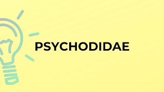 What is the meaning of the word PSYCHODIDAE [upl. by Spitzer]