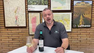 Wine Review Chateau Grand Village Bordeaux Blanc 2018 [upl. by Nomis956]