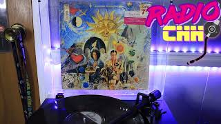 Tears for Fears  Advice for the Young at Heart VINYL RIP  The Seeds of Love LP [upl. by Ailito]