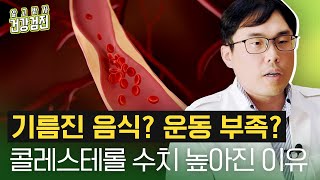 콜레스테롤 수치가 높을 때 나타나는 증상이 있나요 콜레스테롤 수치 높은 이유와 낮추는 방법음식 차움 가정의학과 양지헌 교수 [upl. by Godden627]