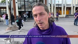 Yvelines  Le Parti Animaliste veut peser sur ces élections législatives [upl. by Mitchiner]