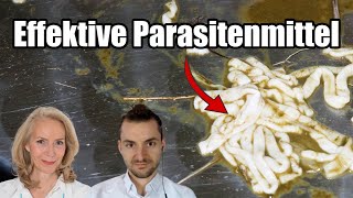 Parasiten entfernen  Parasitenkur  Antiparasitäre Mittel einjähriger Beifuß MSM Ivermectin amp Co [upl. by Anatnahs493]