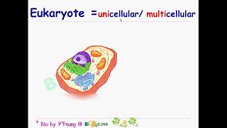 prokaryote vs eukaryote [upl. by Avelin507]