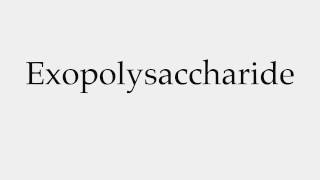 How to Pronounce Exopolysaccharide [upl. by Narmak]