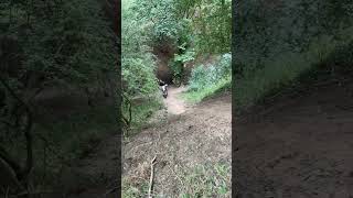 husqvarna hillclimb enduro limekiln ifknowlimekiln 🥲thesearesteep💨 [upl. by Lorry593]