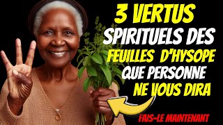 Découvrez les 3 merveilleuses vertus spirituelles DES FEUILLES DHYSOPE à connaître absolument ❗ [upl. by Annahsal]