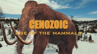 Cenozoic Age of the Mammals [upl. by Ettigdirb]