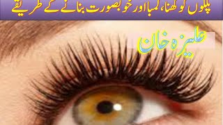 Grow Eye Lashes  Palken Lambi Our Ghani Karne Ka Tariqa [upl. by Rehpotsirh]