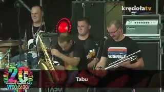 Tabu – Jak Dobrze Cię Widzieć – 20 Przystanek Woodstock 2014 [upl. by Ecnatsnok]