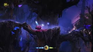 Lets Play Ori and the Blind Forest  Part 12  Dispelling the mist and enter the Forlorn Ruins [upl. by Emmalynne671]