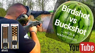 Whats the difference between Birdshot and Buckshot Shooting Watermelon with a pump action Shotgun [upl. by Etireugram]