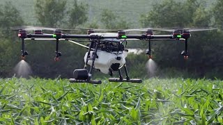 DJI MG1S  Agricultural Wonder Drone [upl. by Crichton]