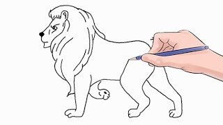 How to Draw a Lion Easy Step by Step [upl. by Drahnreb866]