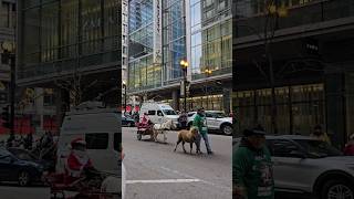 After the Thanksgiving Parade in Chicago 2024 chicago shorts shortvideo [upl. by Rosenblast]