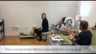 Helping Nella with New People in the Home [upl. by Boccaj]