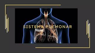 Sistema Pulmonar [upl. by Devi]