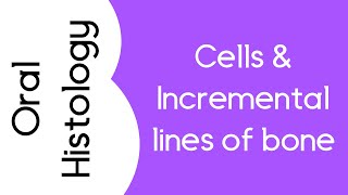 Cells and incremental lines of bone [upl. by Hairem]