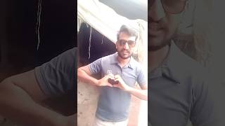 Ham divane hai song hindisong bollywood trending comedy shorts [upl. by Hgeilhsa]