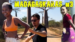 MADAGASKARAS 3 BAOBABAI IR VAIKAI KALBANTYS LIETUVIŠKAI [upl. by Aleac112]