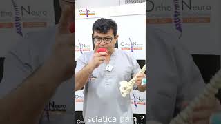 Tennis ball release for Sciatica  Dr Vishwas Virmani  Best Chiropractor in Noida [upl. by Dachi]