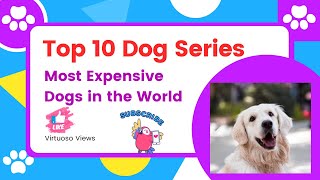 Top 10 Most Expensive Dog Breeds in the Worlddogbreeds dogbarking [upl. by Lari]