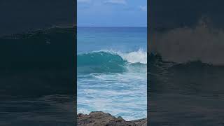 Body Surfing at Point Panic Oahu hawaii honolulu surfing bodysurfing bodysurf [upl. by Gelb]