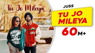 TU JO MILEYA DJ SONG REMIX 🥰🥰 [upl. by Annelg]