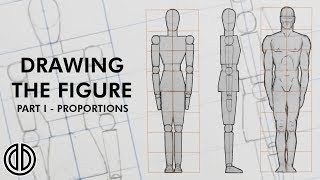 HUMAN ANATOMY Basic Body Proportions for beginners  Drawing Tutorial [upl. by Eesak]