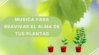 REVIVE TUS PLANTAS MUSICA PARA CRECER Y ARMONIZAR PLANTAS [upl. by Nevear]