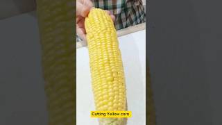 Cutting yellow corn shorts youtubeshorts corncob trending myvideo [upl. by Hgiel968]