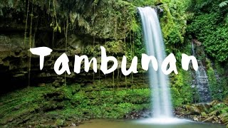 TAMBUNAN RAFFLESIA CENTRE BUTTERFLY PARK amp MAHUA WATERFALL [upl. by Mair]